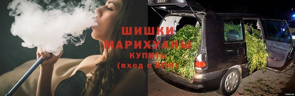 шишки Алексеевка