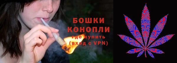 шишки Алзамай