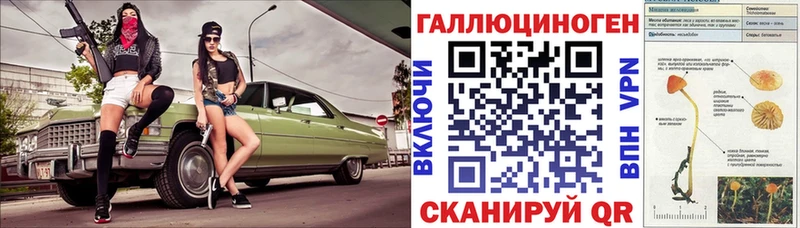 Галлюциногенные грибы Cubensis Зверево